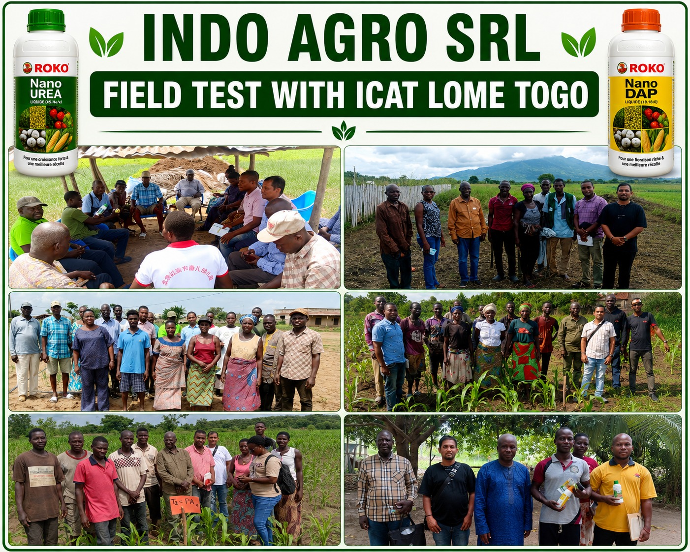 Essais sur le terrain en collaboration avec l'ICAT à Lomé